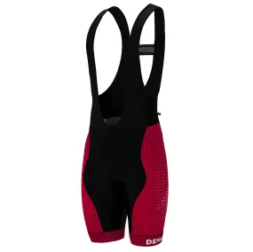 Ascent Vector Bibs Men's - Denmark