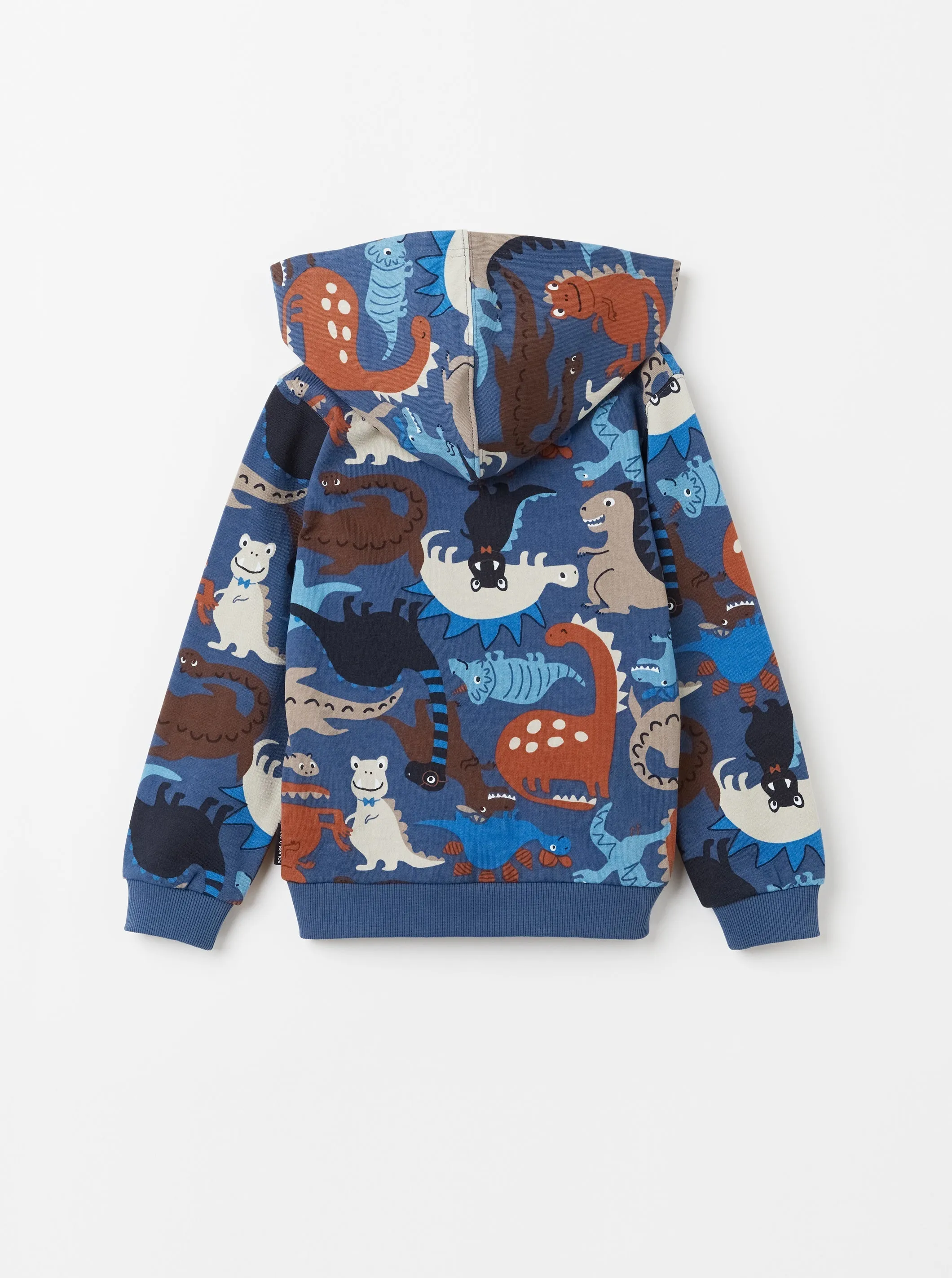 Dinosaur Kids Hoodie