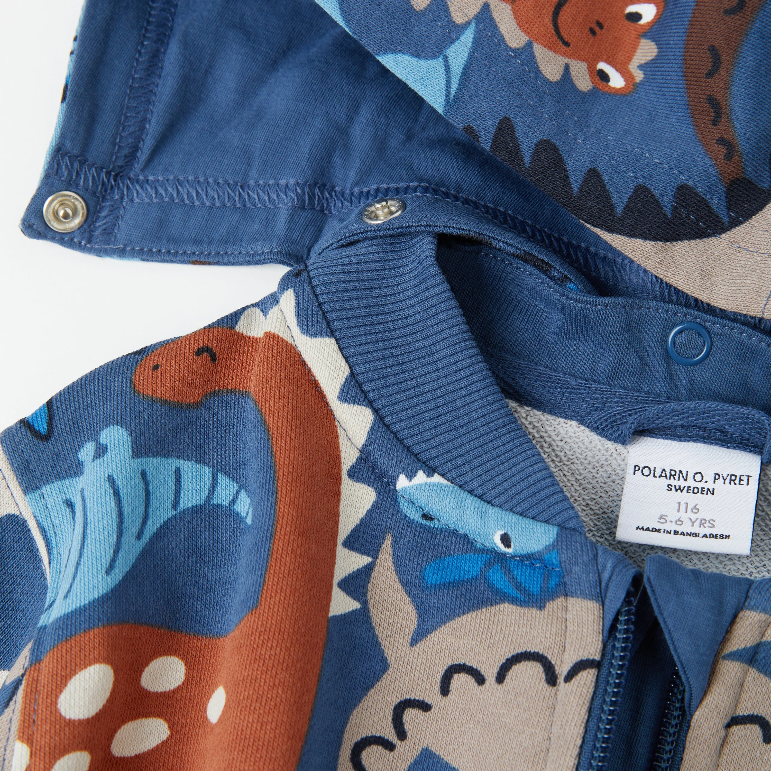 Dinosaur Kids Hoodie