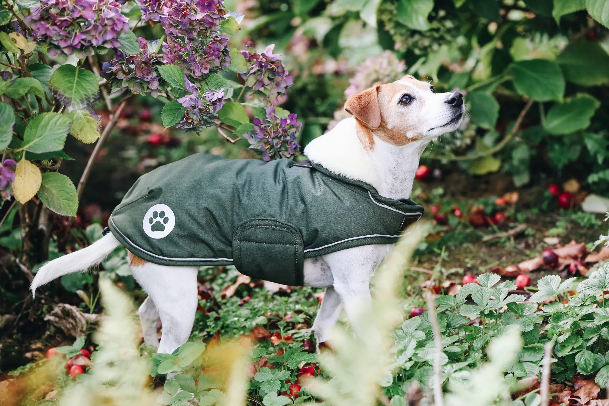 Dog Coat Waterproof 300G