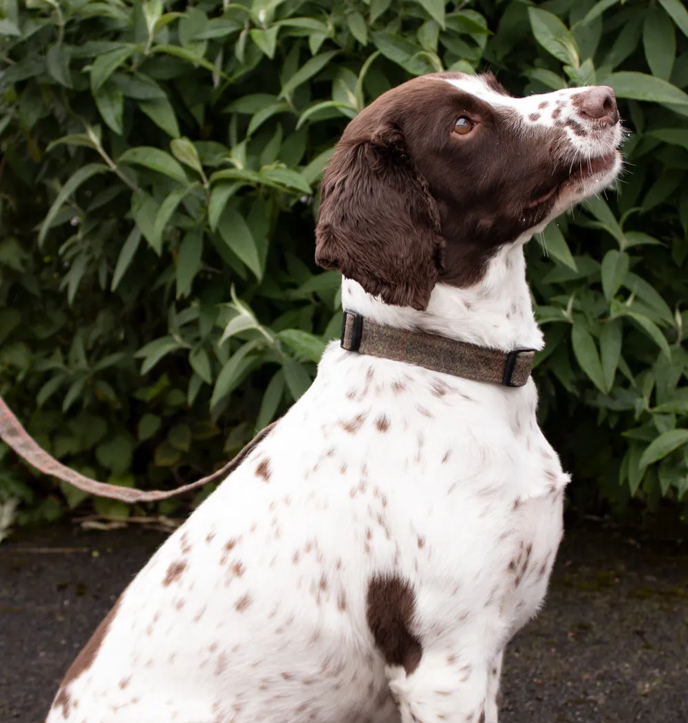 Dog Collar - Brown Waxed Tweed