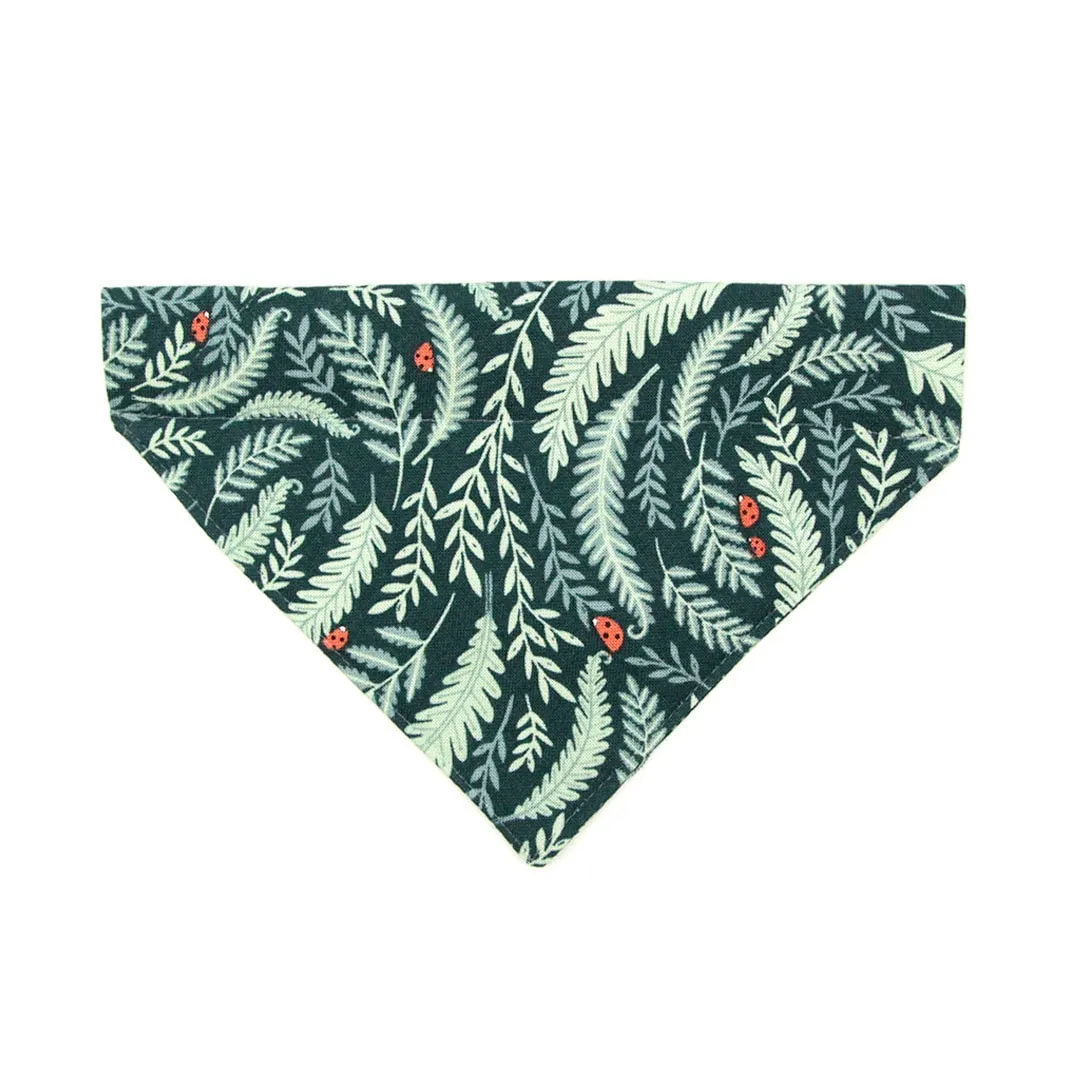 Pet Bandana - "Eden" - Sage & Woodland Botanical Green Bandana for Cat   Small Dog / Slide-on Bandana / Over-the-Collar (One Size)