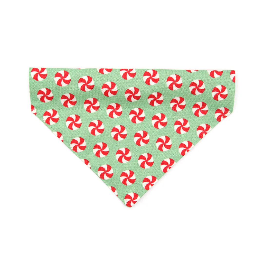 Pet Bandana - "Peppermint Twist" - Red & Green Christmas Candy for Cat   Small Dog / Holiday / Slide-on Bandana / Over-the-Collar (One Size)