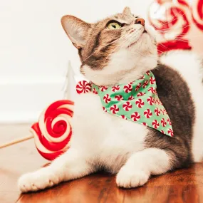 Pet Bandana - "Peppermint Twist" - Red & Green Christmas Candy for Cat   Small Dog / Holiday / Slide-on Bandana / Over-the-Collar (One Size)