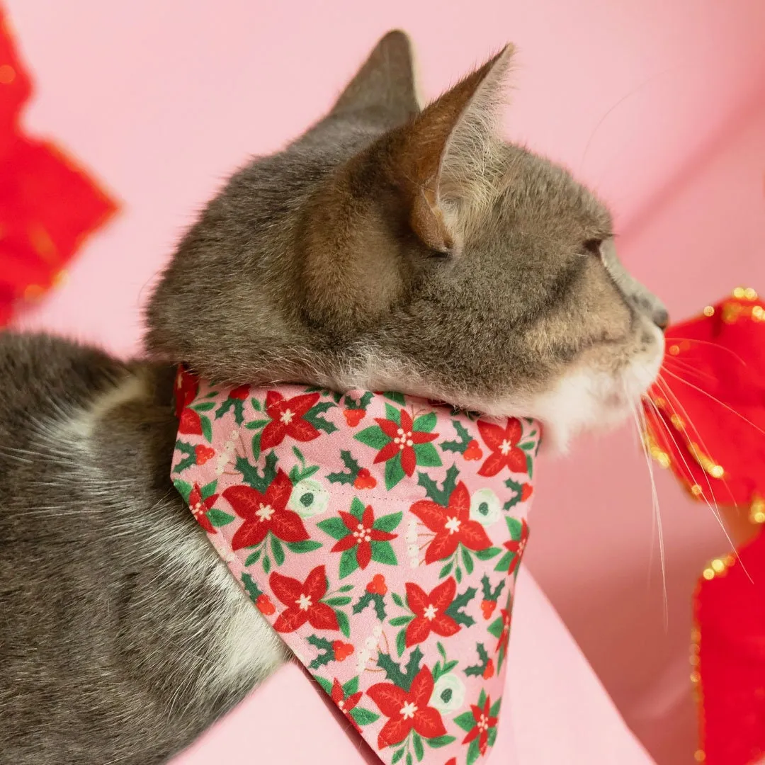 Pet Bandana - "Winter Blooms - Pink" - Poinsettia Bandana for Cat   Small Dog / Christmas Floral / Slide-on Bandana / Over-the-Collar (One Size)