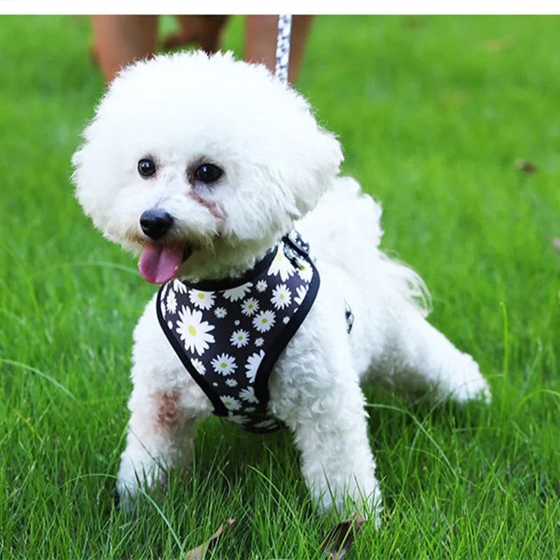 Pet Breathable Dog Fashion Harness Leash Set