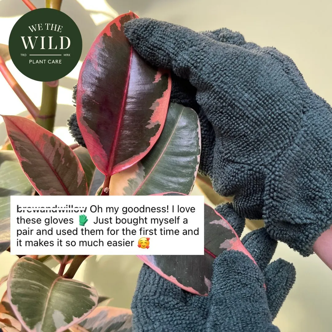 Plant Cleaning Gloves - Reusable Microfiber Leaf Care Gloves