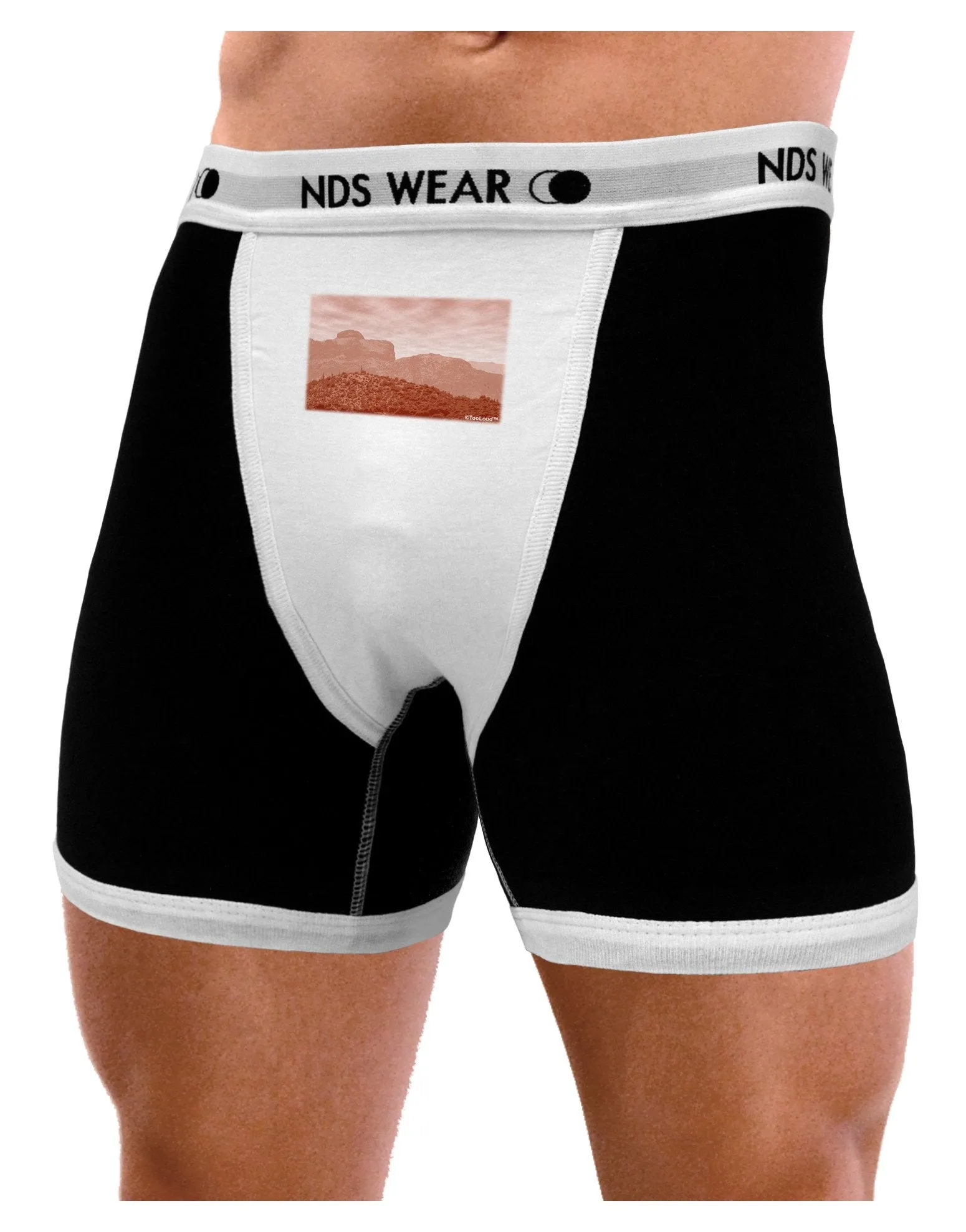 Red Planet Landscape Mens Boxer Brief Underwear