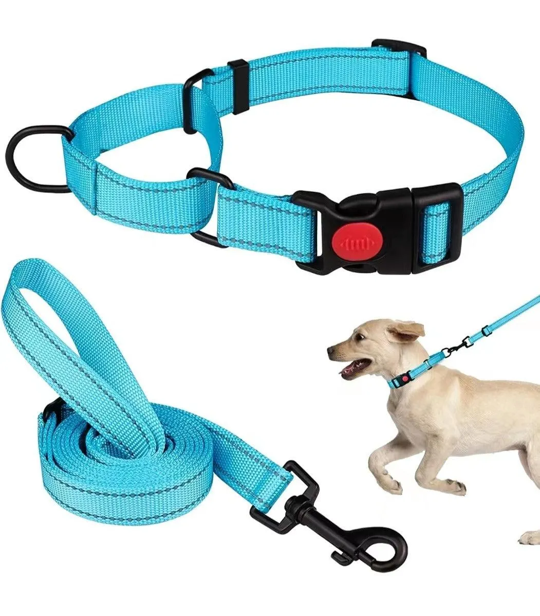 Reflective Dog Collar and Leash Set