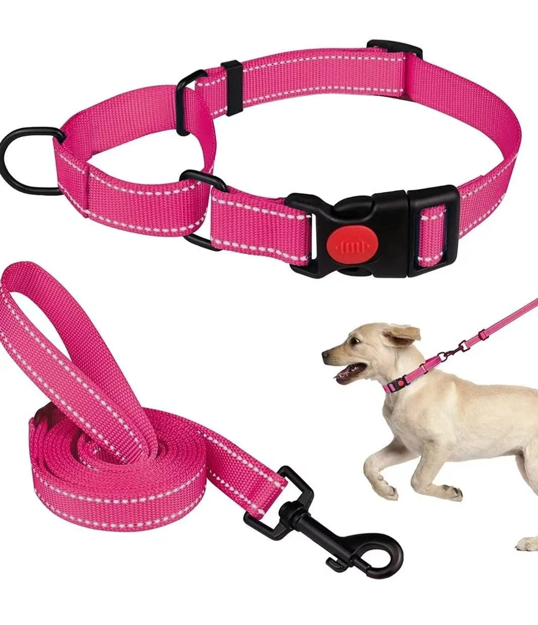 Reflective Dog Collar and Leash Set