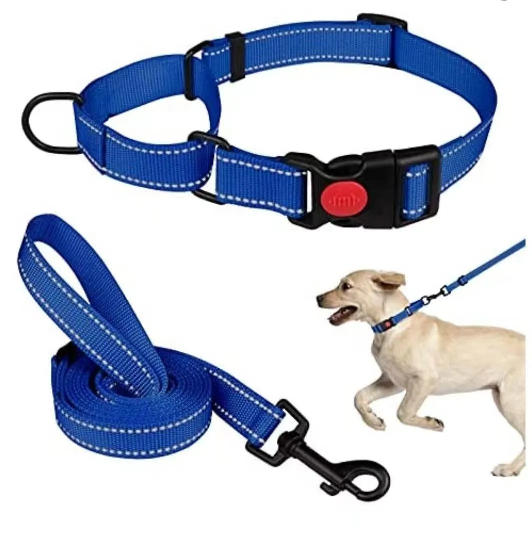 Reflective Dog Collar and Leash Set