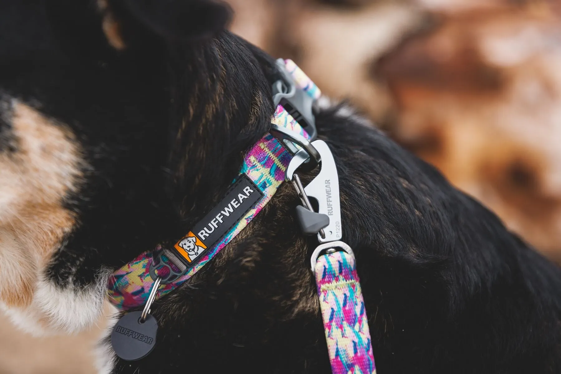 Ruffwear - Front Range Collar - Patterned Designs